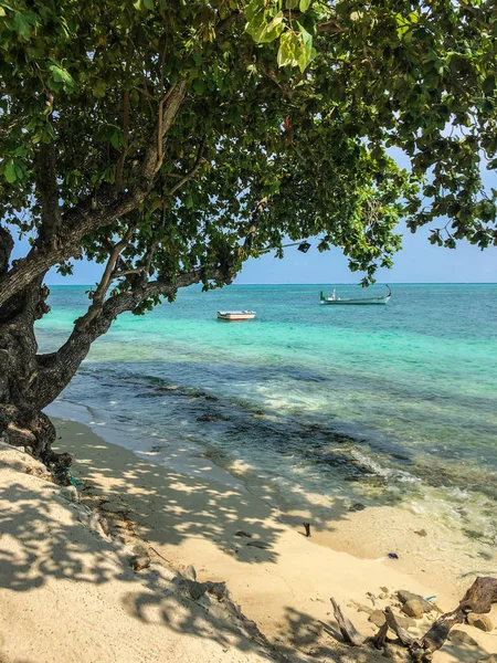 Ağaç Ile Fehendhoo Adası Maldivler Güneşli Gün Denizde Tekneler Sahilde — Stok fotoğraf