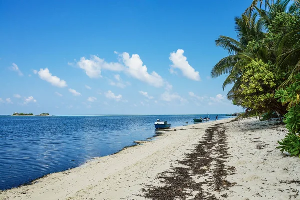 Ağaçlar Balıkçı Teknesi Ile Güzel Bir Plaj Yaz Tatil Seyahat — Stok fotoğraf