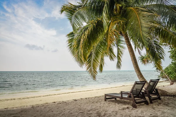 Palm Beach Maldivler Üzerinde Altında Sandalye Tropikal Tatil Consept — Stok fotoğraf