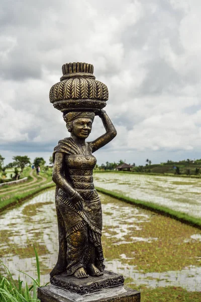 Sculpture Woman Green Rice Fields Bali Island Jatiluwih Ubud Indonesia — Stock Photo, Image
