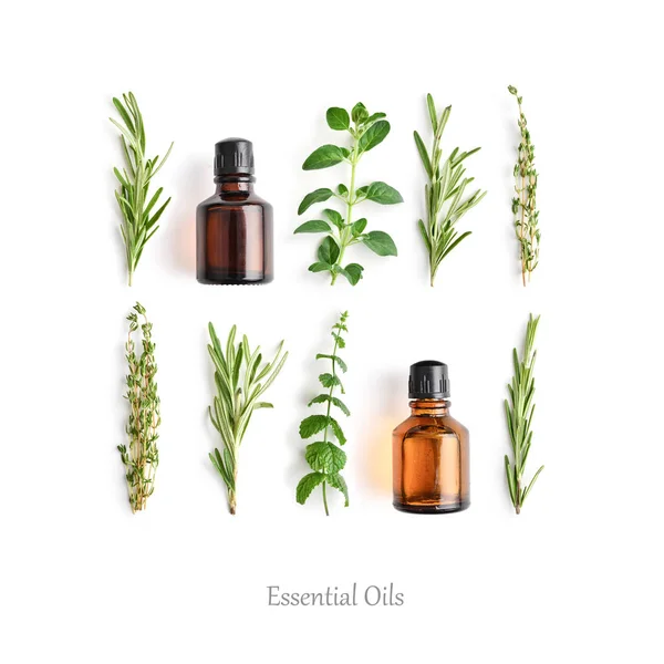 Bottles Essential Oils Fresh Herbs Rosemary Oregano Thyme Peppermint Isolated — Stock Photo, Image