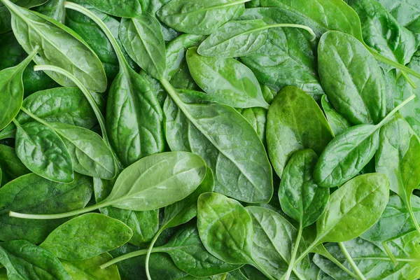 Fresh spinach leaves as background, top view