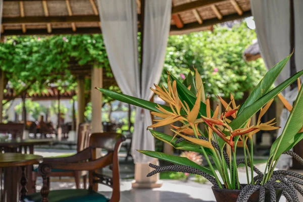 Paviljoen Met Mooie Strelitzia Bloeit Luxeresort Bali Islan — Stockfoto
