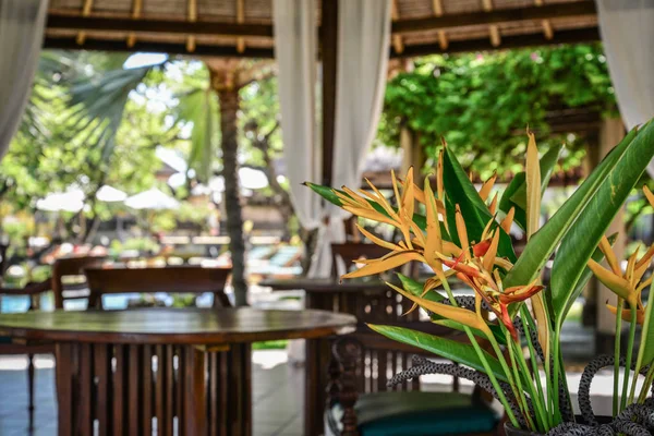 Павильон Красивыми Цветами Стрелиця Роскошном Курорте Бали — стоковое фото