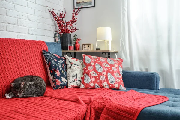 キャンドルと赤い格子縞のリビング ルームで猫とソファの上でクリスマスの装飾 私が作った壁上のフレームのすべての写真 — ストック写真