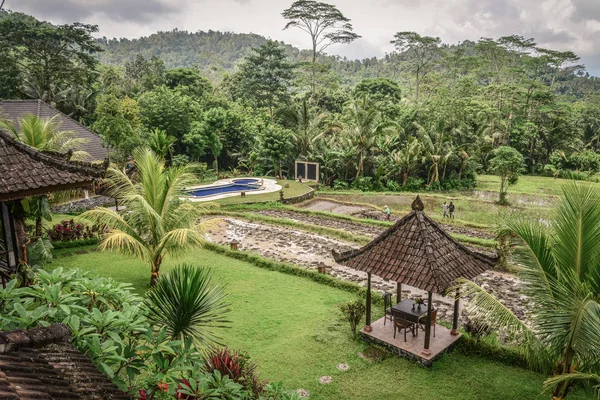 Bali Indonézia Január 2018 Pavilon Területén Nagy Mountain View Hotel — Stock Fotó