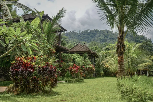 Балі Індонезія Січня 2018 Території Великим Mountain View Hotel Похмурий — стокове фото