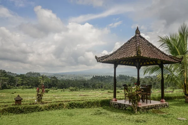 Pavilon Asztal Szék Rizs Mezők Egy Felhős Napon Bali Indonézia — Stock Fotó