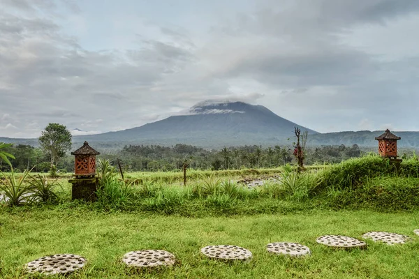 Пейзаж Рисовыми Полями Вулканом Агунг Пасмурный День Индонезия Бали — стоковое фото