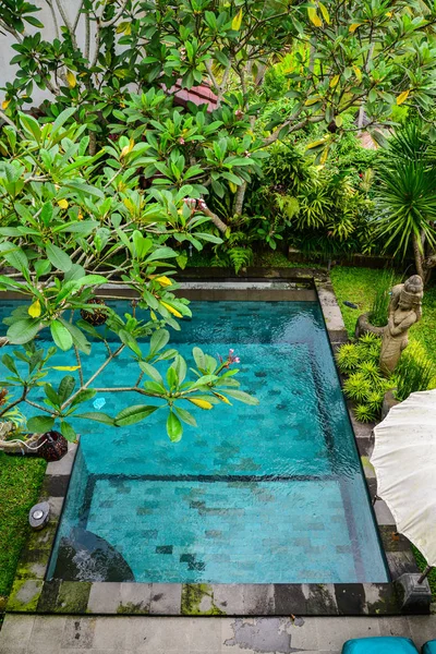 Garden on back yard with swiming pool — Stock Photo, Image