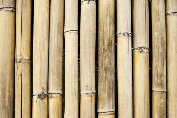 Beyaz Bambu Çit Arkaplanı — Stok fotoğraf