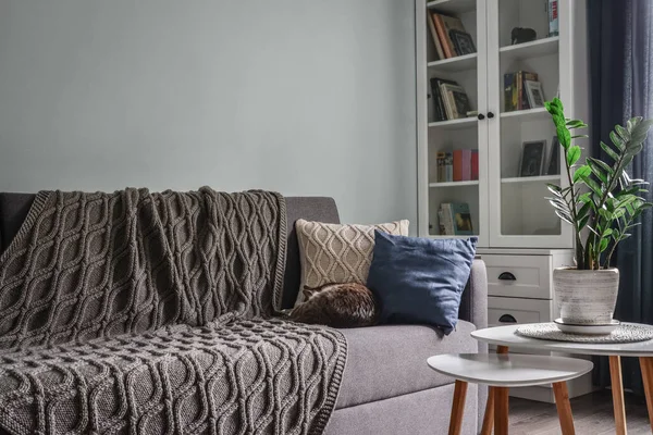 Lichte Gezellige Tienerkamer Met Witte Boekenkasten Grijze Bank Blauwe Muren — Stockfoto