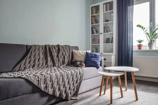 Leichtes Gemütliches Teenzimmer Mit Weißen Bücherregalen Grauem Sofa Und Blauer — Stockfoto