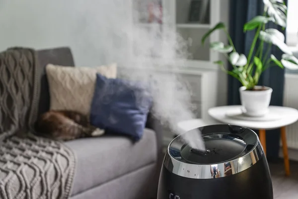 Humidificateur Brouillard Frais Ultrasonique Pour Maison Sur Une Petite Table — Photo