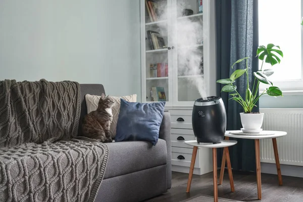 Ultrahangos Hűvös Köd Párásító Otthon Egy Kis Asztalon Nappaliban — Stock Fotó