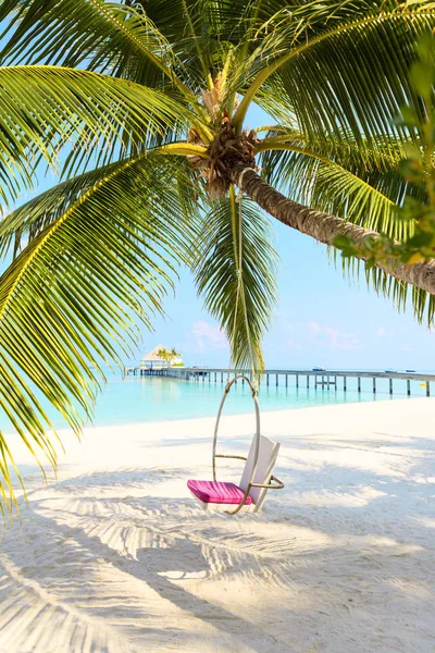 Paradise Swing Una Spiaggia Sabbiosa Sogno Con Sfondo Ocean Water — Foto Stock