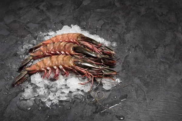 Tres Gambas Jumbo Crudas Sobre Hielo Sobre Fondo Oscuro — Foto de Stock