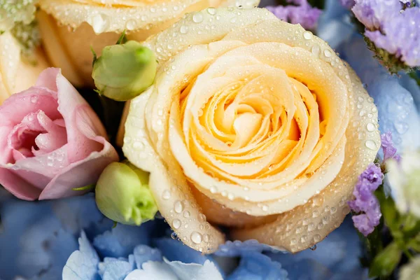 用蓝色绣球 桃玫瑰 粉红色桔梗 乒乓球妈妈和 Astrantia 的美丽柔和的花花束特写 — 图库照片
