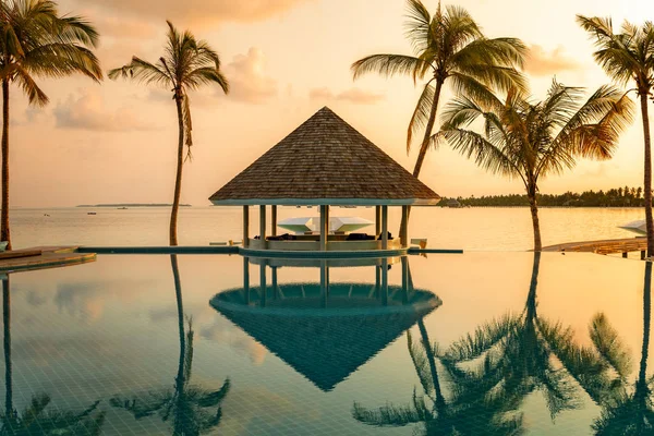 Bar Cafe and pool on a tropical beach, surrounded by palm trees in early morning  - travel background