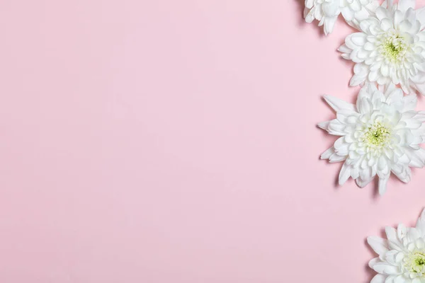 Flores Blancas Sobre Fondo Rosa Piso Tendido Vista Superior — Foto de Stock