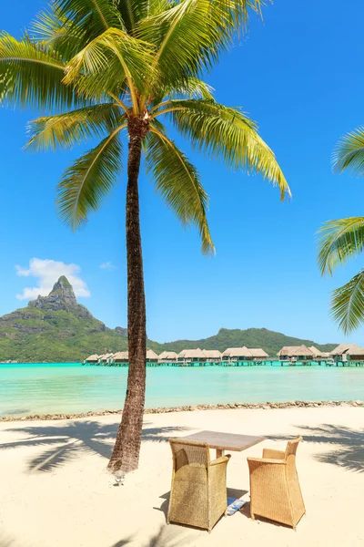 Table Two Chairs Coconut Palm Tree White Sand Beach Splendid — Stock Photo, Image