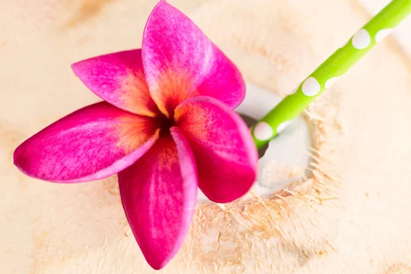 Kokosgetränk Mit Grünem Strohhalm Und Lila Frangipani Blume Ansicht Von — Stockfoto