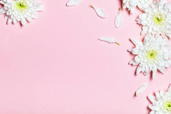 Flores Blancas Sobre Fondo Rosa Piso Tendido Vista Superior — Foto de Stock