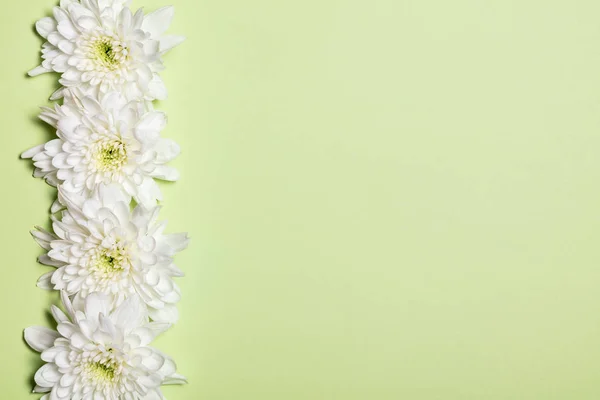 Flores Blancas Sobre Fondo Verde Piso Tendido Vista Superior — Foto de Stock