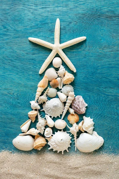 Vánoční Strom Vyrobený Mořské Mušle Hvězdice Dřevěné Modré Pozadí Pohled — Stock fotografie