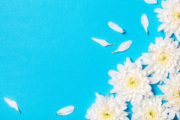 Weiße Blumen Vor Blauem Hintergrund Flache Lage Draufsicht — Stockfoto