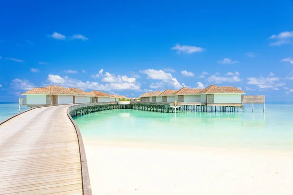 Villas Agua Tropical Isla Maldivas Por Mañana Vacaciones Concepto Fondo — Foto de Stock