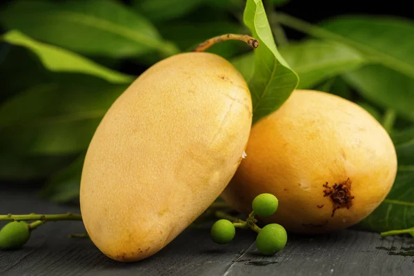 Rijpe Gele Mango Donkere Houten Achtergrond — Stockfoto