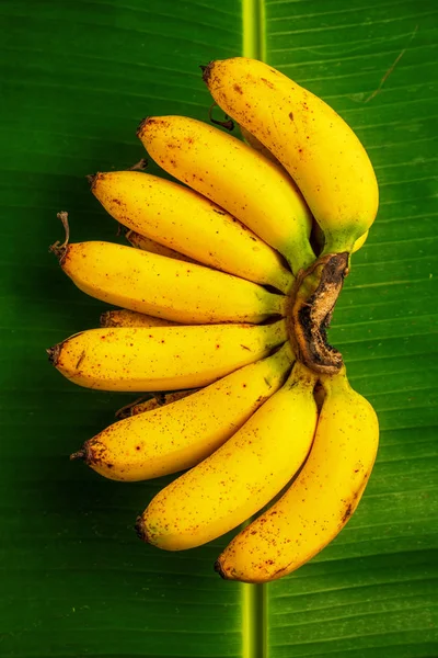 Група Свіжих Стиглих Бананів Зеленій Банановій Відпустці Вид Зверху Вертикальна — стокове фото