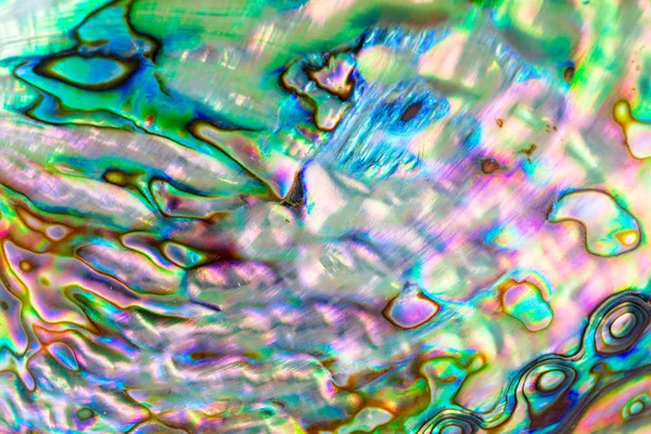 Fondo Textura Multicolor Cáscara Paua Iris Haliotis Cáscara Abalona — Foto de Stock