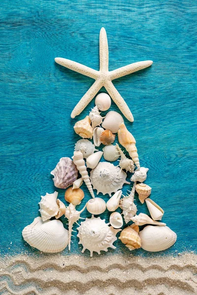 Новорічна Ялинка Різних Типів Морських Раковин Морської Зірки Прикрасою Піску — стокове фото