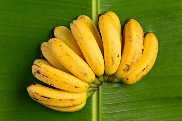Букет Свіжих Бананів Листі Банана Вид Зверху — стокове фото