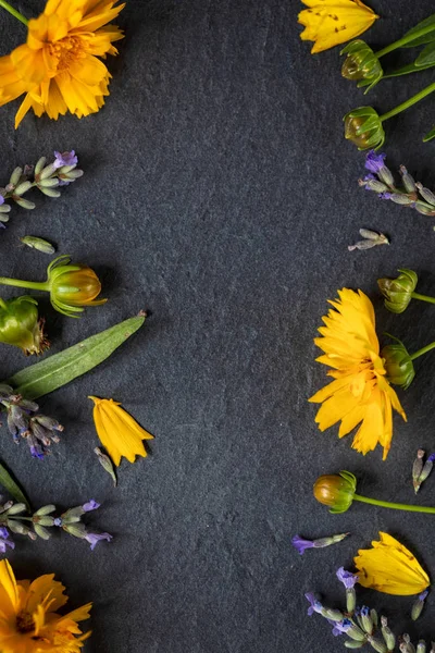 Wildblumen Komposition Rahmen Aus Verschiedenen Bunten Blumen Auf Dunklem Hintergrund — Stockfoto