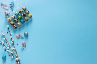Renkli Paskalya bıldırcın yumurtası mavi arka plan, düz yatıyordu, şeffaf plastick kapsayıcı alanı kopyalayın. Paskalya tatil dekorasyon, Paskalya kavramı arka plan görüntü