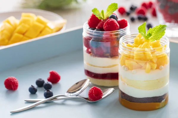 Dessert al lampone e mango, cheesecake, sciocchezza, topo in un criceto — Foto Stock