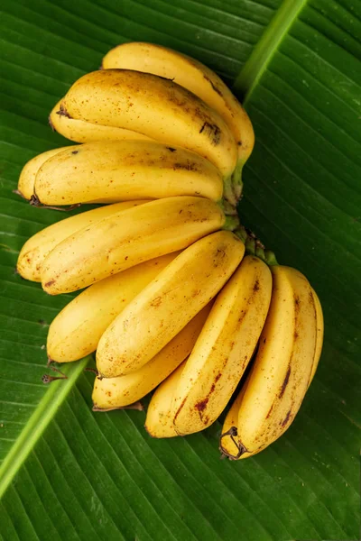 Mazzo di banane mature gialle fresche su foglie di banana, co verticale — Foto Stock