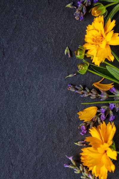 Wildblumen-Komposition. Rahmen aus verschiedenen bunten Blumen — Stockfoto