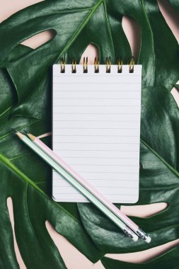 Monstera yaprağı ve pimi üzerinde kalem ile boş açık not defteri üst görünümü