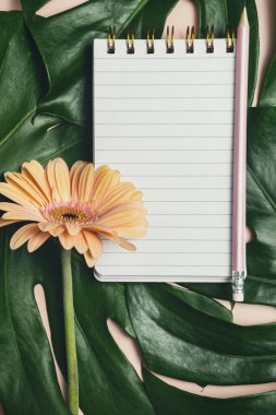 Monstera yaprağı ve pembe bac kalem ile boş not defteri üst görünümü