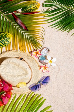 Mavi güneş gözlüğü ile Bej hasır şapka, renkli deniz kabukları, frangipani çiçekler iã§in ve kum, yaz tatili konsepti, dikey kompozisyon üzerine yeşil palmiye yapraklar 