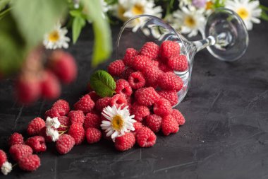 Koyu ahşap arka plan üzerinde alan çiçekleri ile martini cam Taze Deluxe Ahududu.