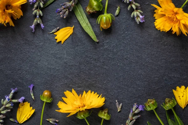 Wildblumen-Komposition. Rahmen aus verschiedenen bunten Blüten auf weißem, dunklem Hintergrund. flache Lage, Draufsicht, Kopierraum — Stockfoto