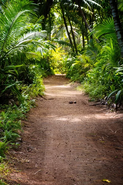 Грунтова сільська дорога посеред тропічних джунглів, вертикальна композиція — стокове фото