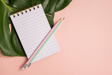 Kopya alanı ile pembe pastel arka plan üzerinde kalem ve monstera lief ile boş dizüstü üst görünümü