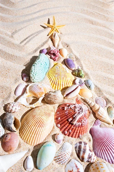 Choinka wykonana z muszli i koralowych na piasku plażowego, płaskie leżały — Zdjęcie stockowe