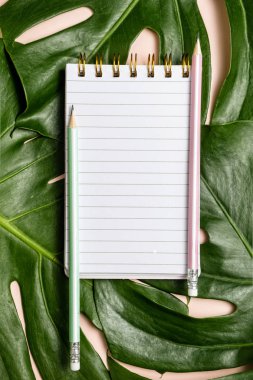Monstera yaprağı ve pembe arka plan üzerinde kalem ile boş not defteri üst görünümü, üst görünüm, dikey kompozisyon